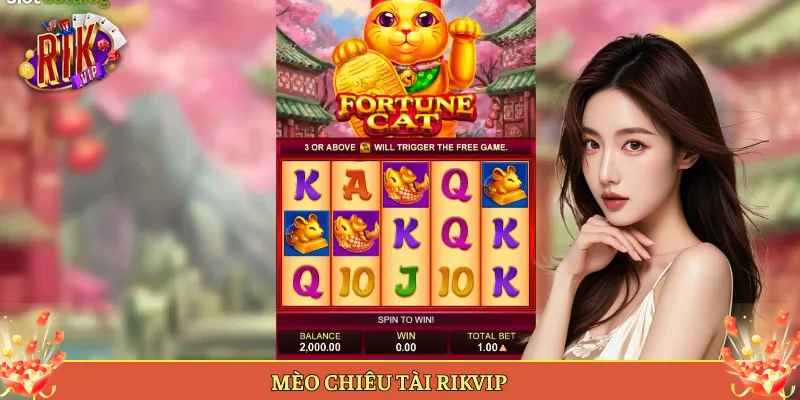 Mèo Chiêu Tài Rikvip