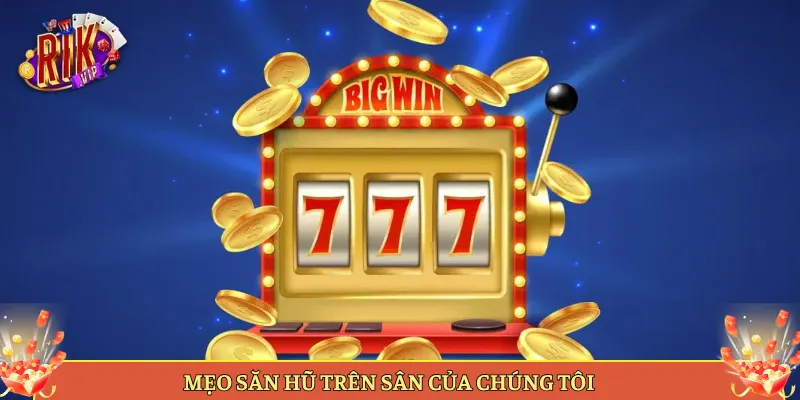 Mẹo Săn Hũ Trên Sân Của Chúng Tôi