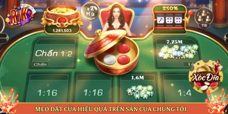 Mẹo Đặt Cửa Hiệu Quả Trên Sân Của Chúng Tôi